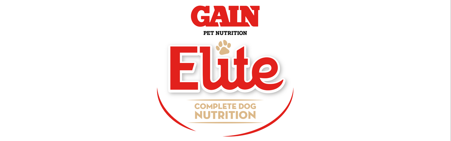 GAIN Elite