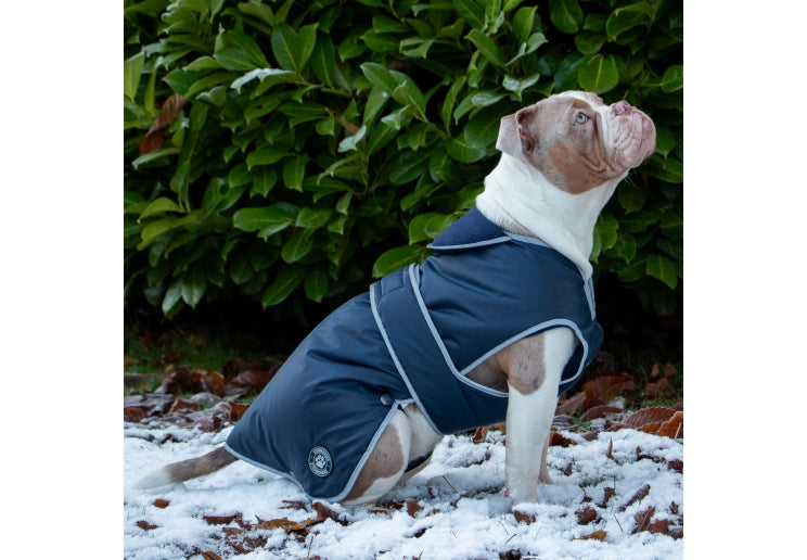 Stormguard Dog Coat Navy Extra Small - 25cm