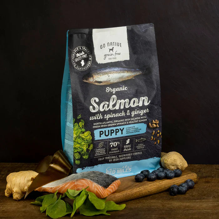 Go Native Puppy with Organic Salmon Spinach & Ginger 800 gr
