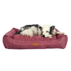 Dubex Wine Velvet Touch Bed Extra Small (50x40x17cm)