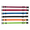Junior Set of puppy collars Color: black red royal blue apple papaya orchid Small 17x 25 cm/10 mm
