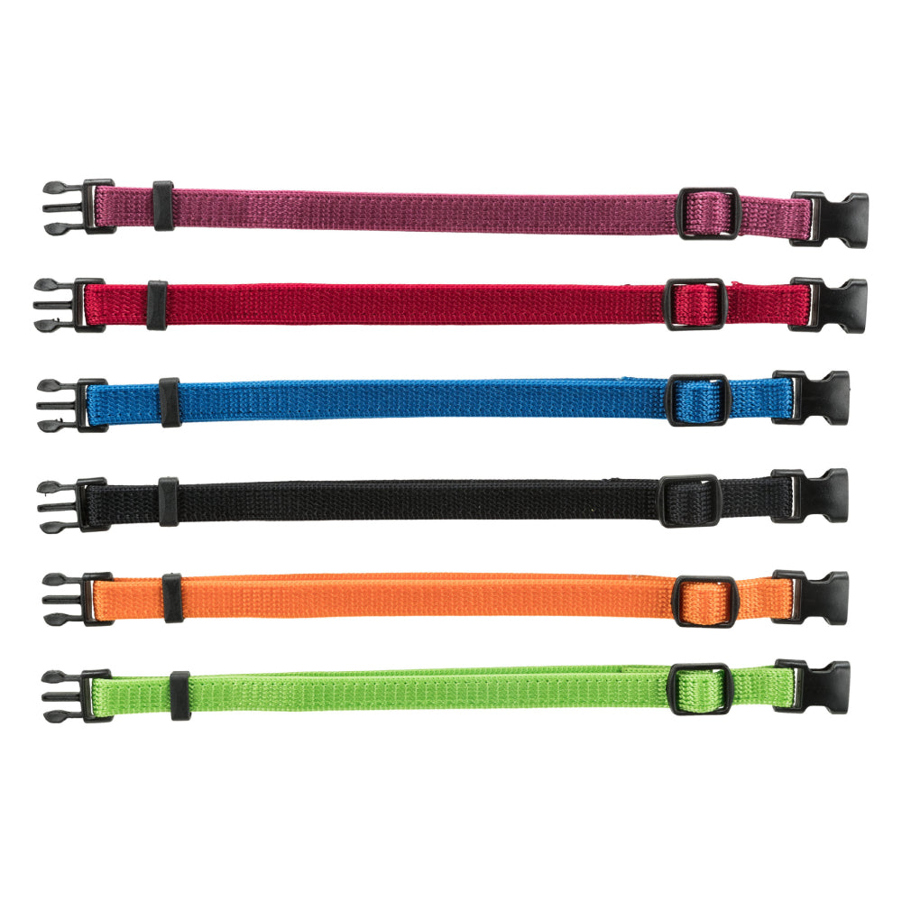 Junior Set of puppy collars Color: black red royal blue apple papaya orchid Small 17x 25 cm/10 mm