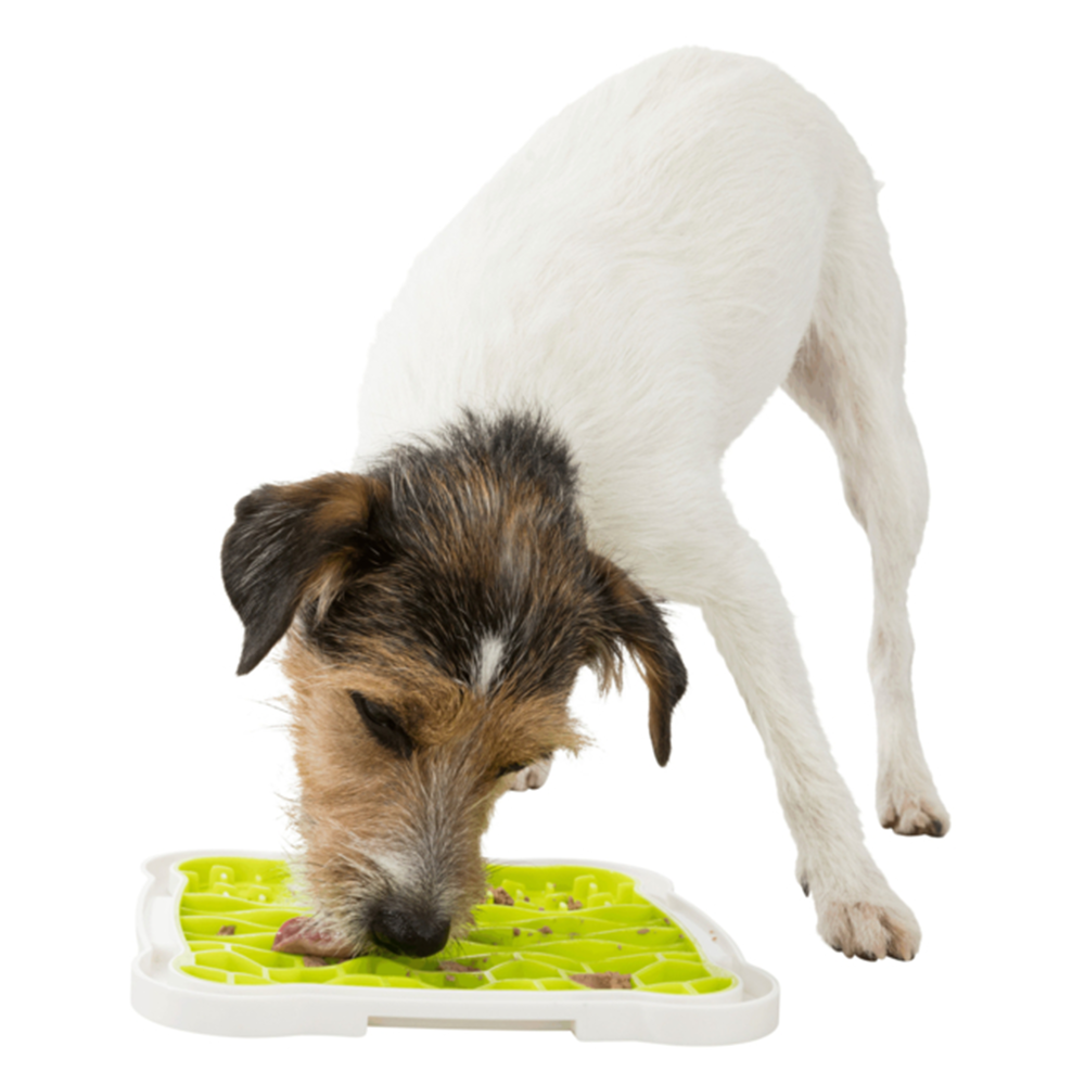 Lick’n’Snack Plate Leaf 28x21cm