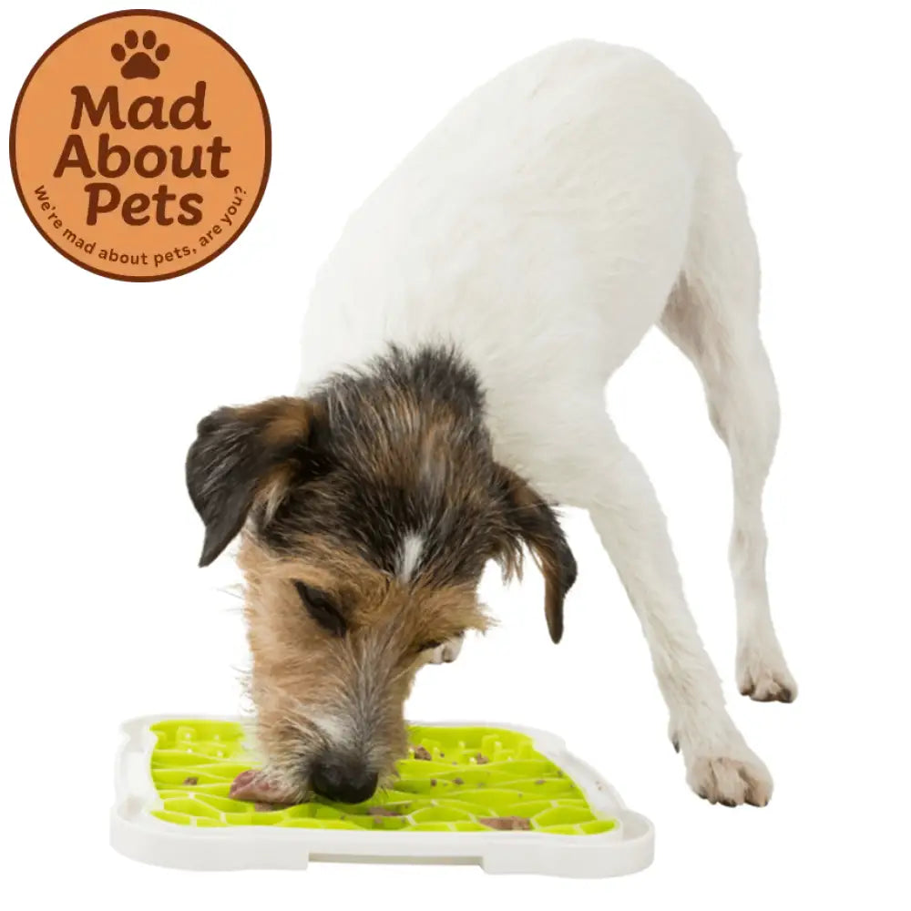 Lick’n’Snack Plate Leaf 28x21cm