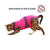 Maxx Cat Recovery Suit