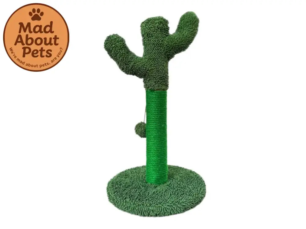 Pawise Cactus Scratching Tree