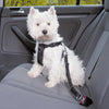 Car Harness Extra Small (Chest 20-25cm)