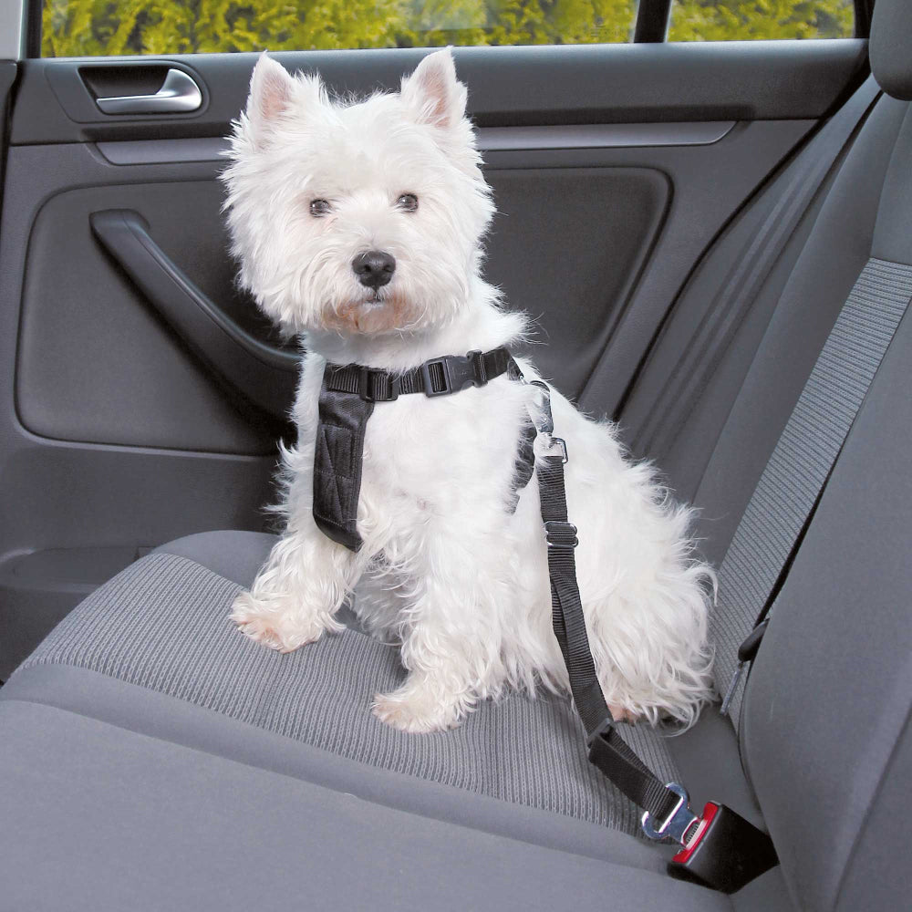 Car Harness Extra Small (Chest 20-25cm)