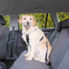 Car Harness Large (Chest 70-90cm)