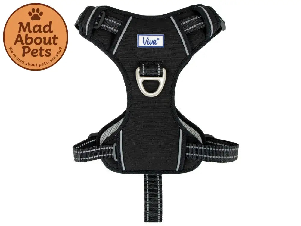 Viva Exercise & Travel Harness Black