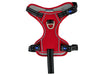 Viva Exercise & Travel Harness Red Small (Neck 30-35cm Chest 35-45cm)